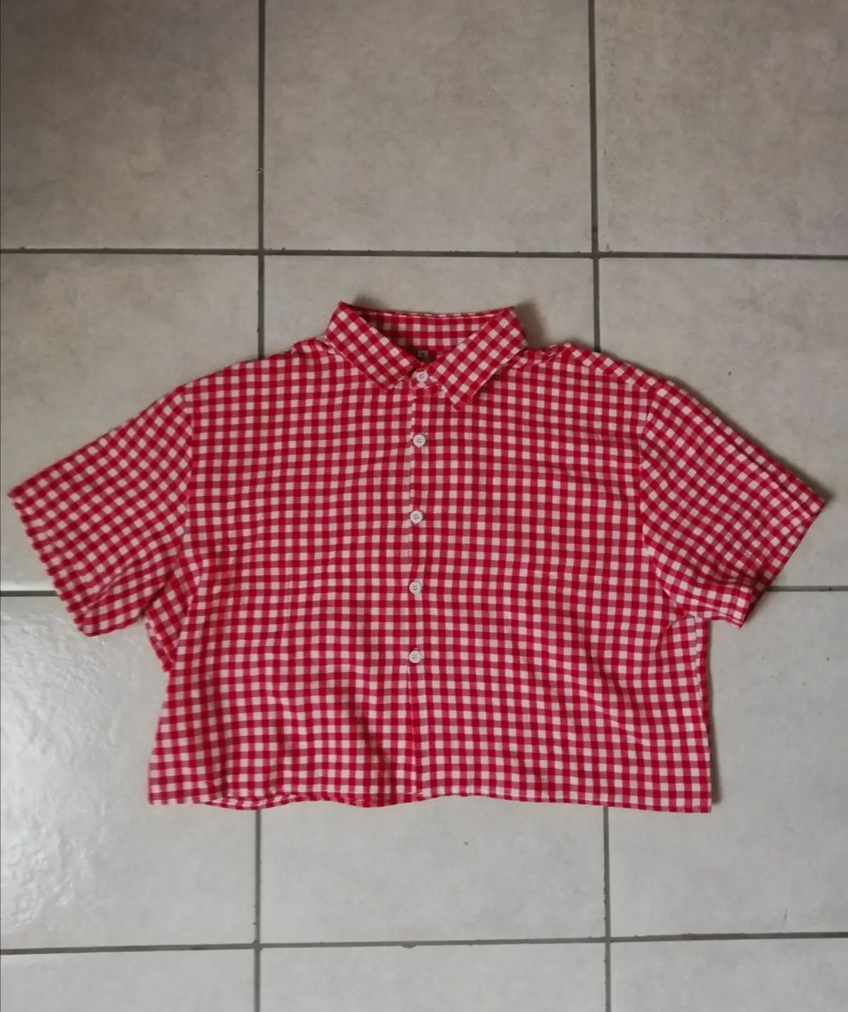 Red and White Gingham Button-Up Shirt