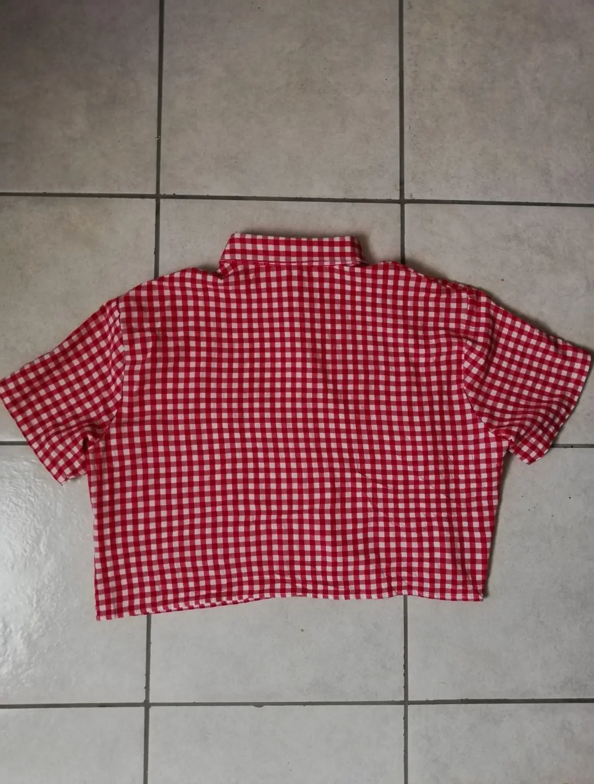 Red and White Gingham Button-Up Shirt