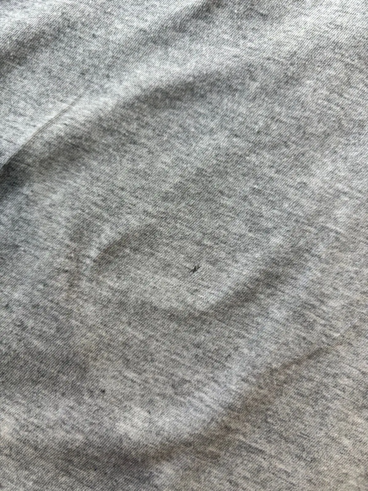 Ralph Lauren Grey T-Shirt