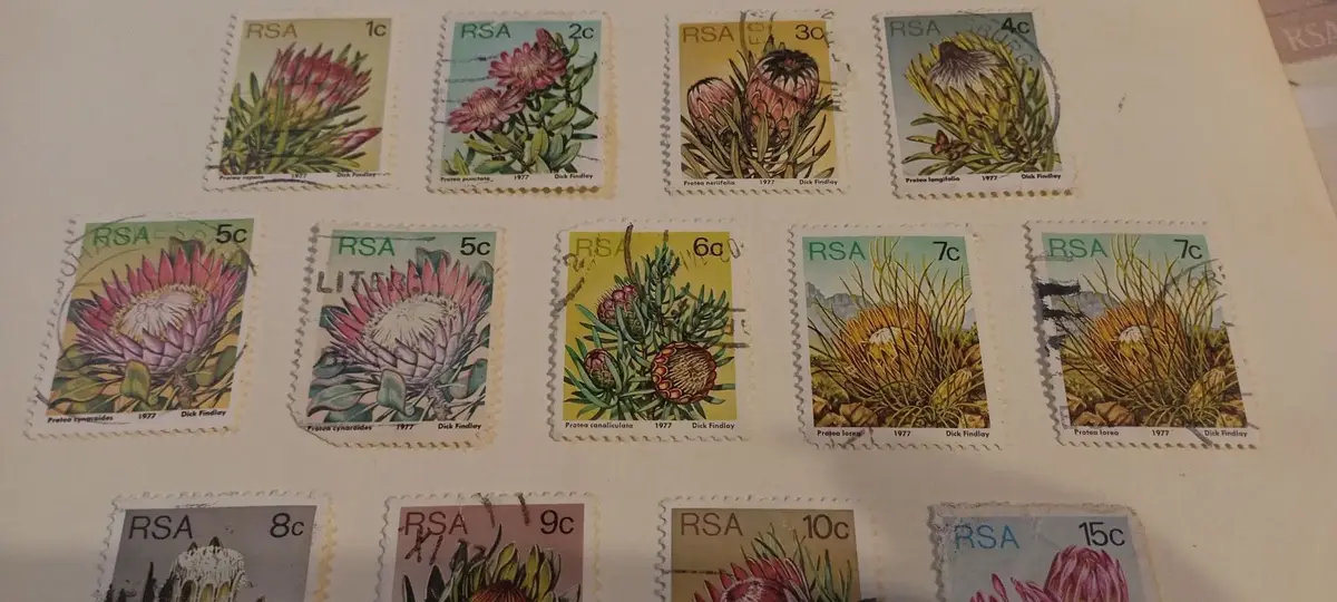 South Africa 1977 Protea Repens 1c Postage Stamp
