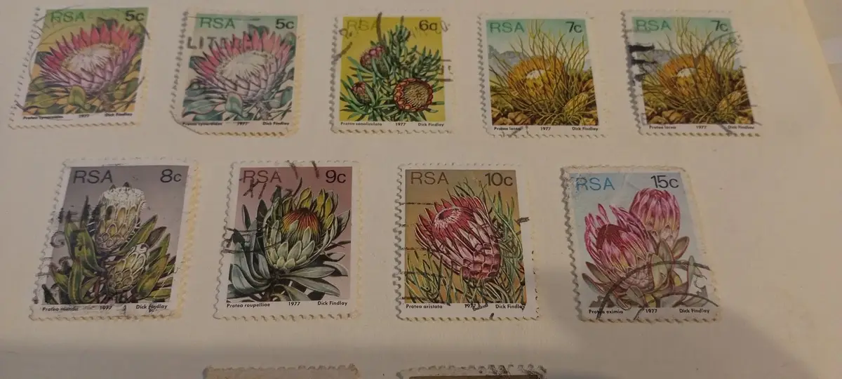 South Africa 1977 Protea Repens 1c Postage Stamp