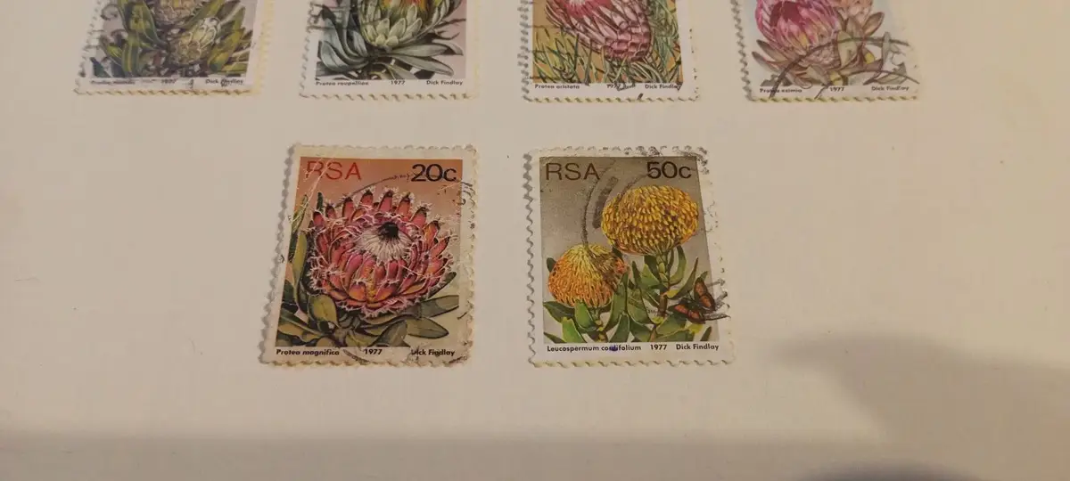 South Africa 1977 Protea Repens 1c Postage Stamp