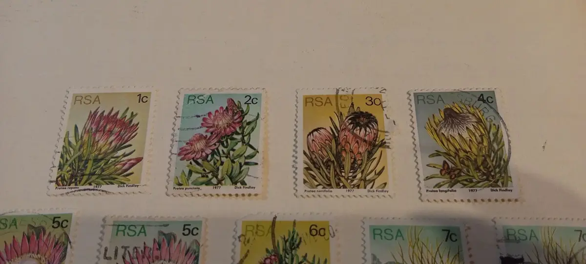 South Africa 1977 Protea Repens 1c Postage Stamp