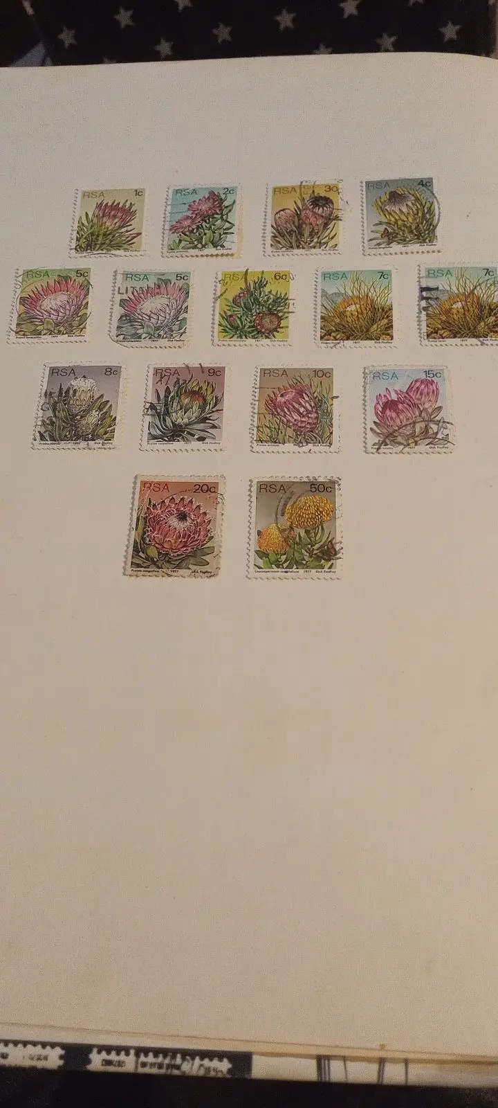 South Africa 1977 Protea Repens 1c Postage Stamp
