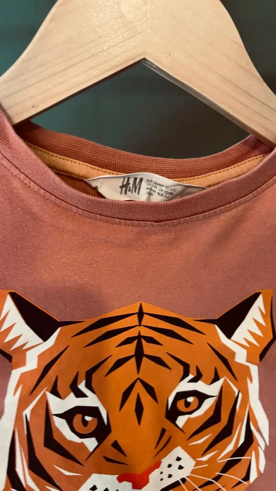 H&M Kids Tiger Graphic T-Shirt Pink