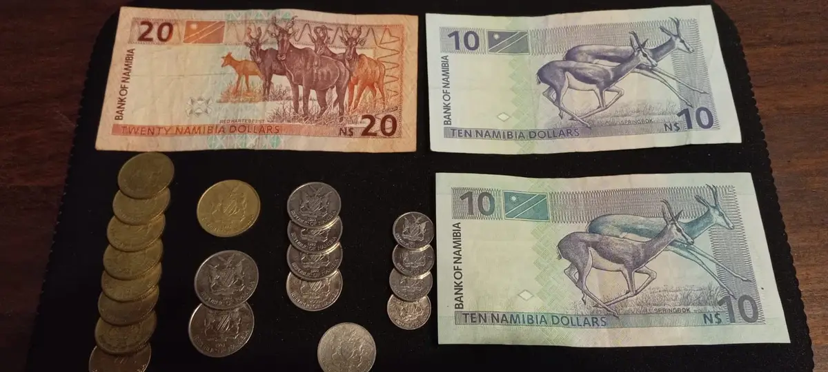 Namibian Dollar Banknotes and Coin Collection