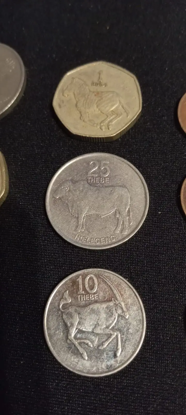 Botswana 5 Pula Banknote Vintage Currency