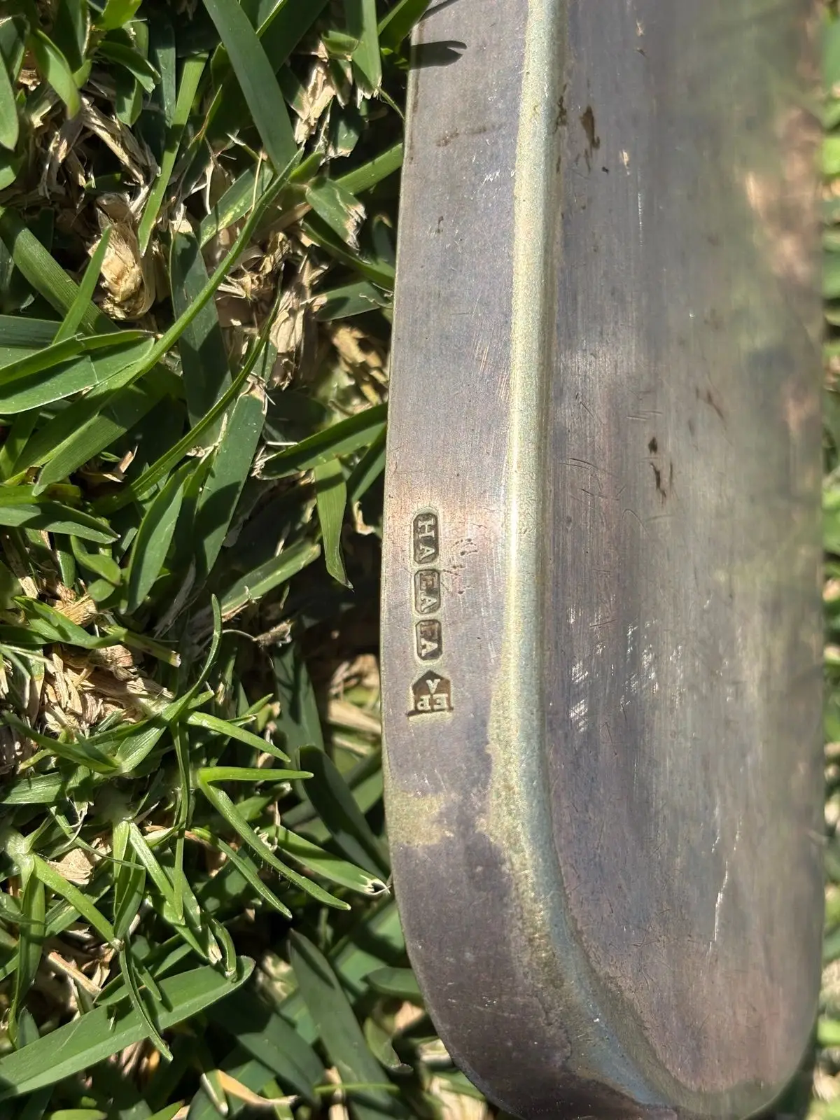 Antique Crumb Scoop with Horn Handle