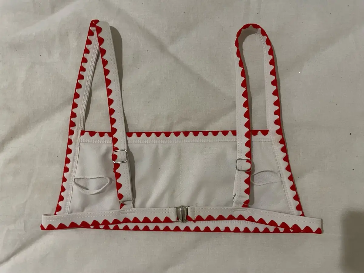 Blue and White Patterned Crop Top with Red Trim