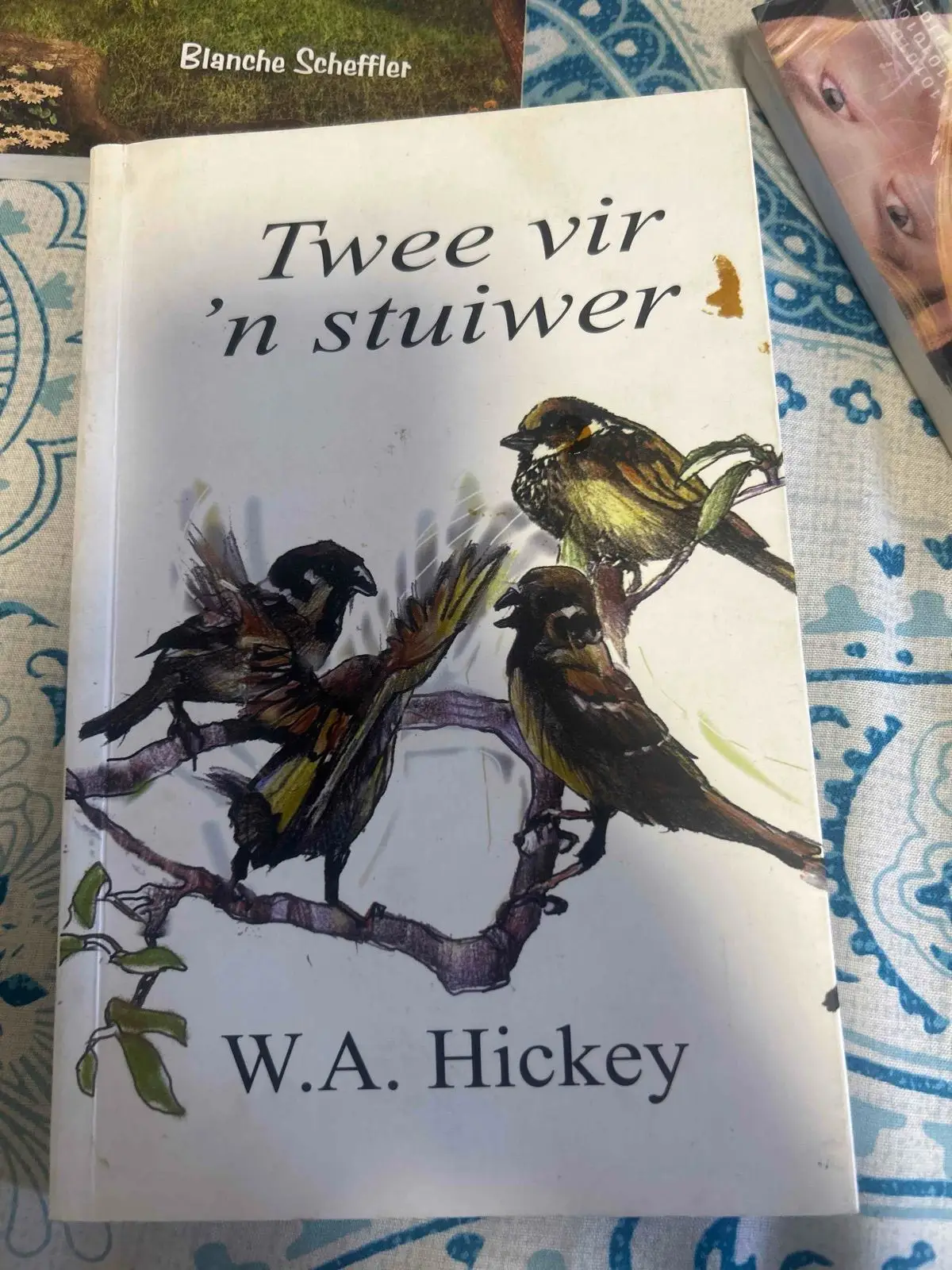 Twee vir 'n stuiwer by W.A. Hickey - Afrikaans Children's Book