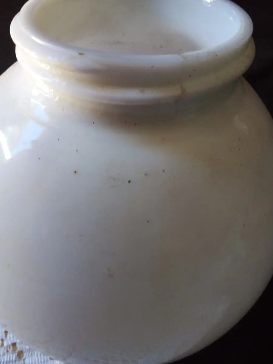 Opal white bulb covers