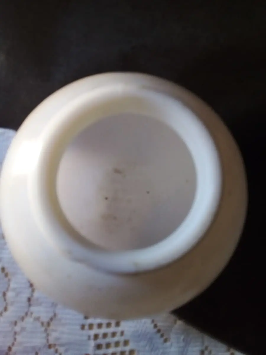 Opal white bulb covers