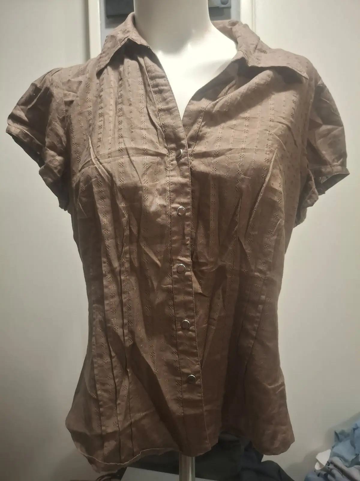 Jet Brown Short-Sleeve Button-Down Blouse