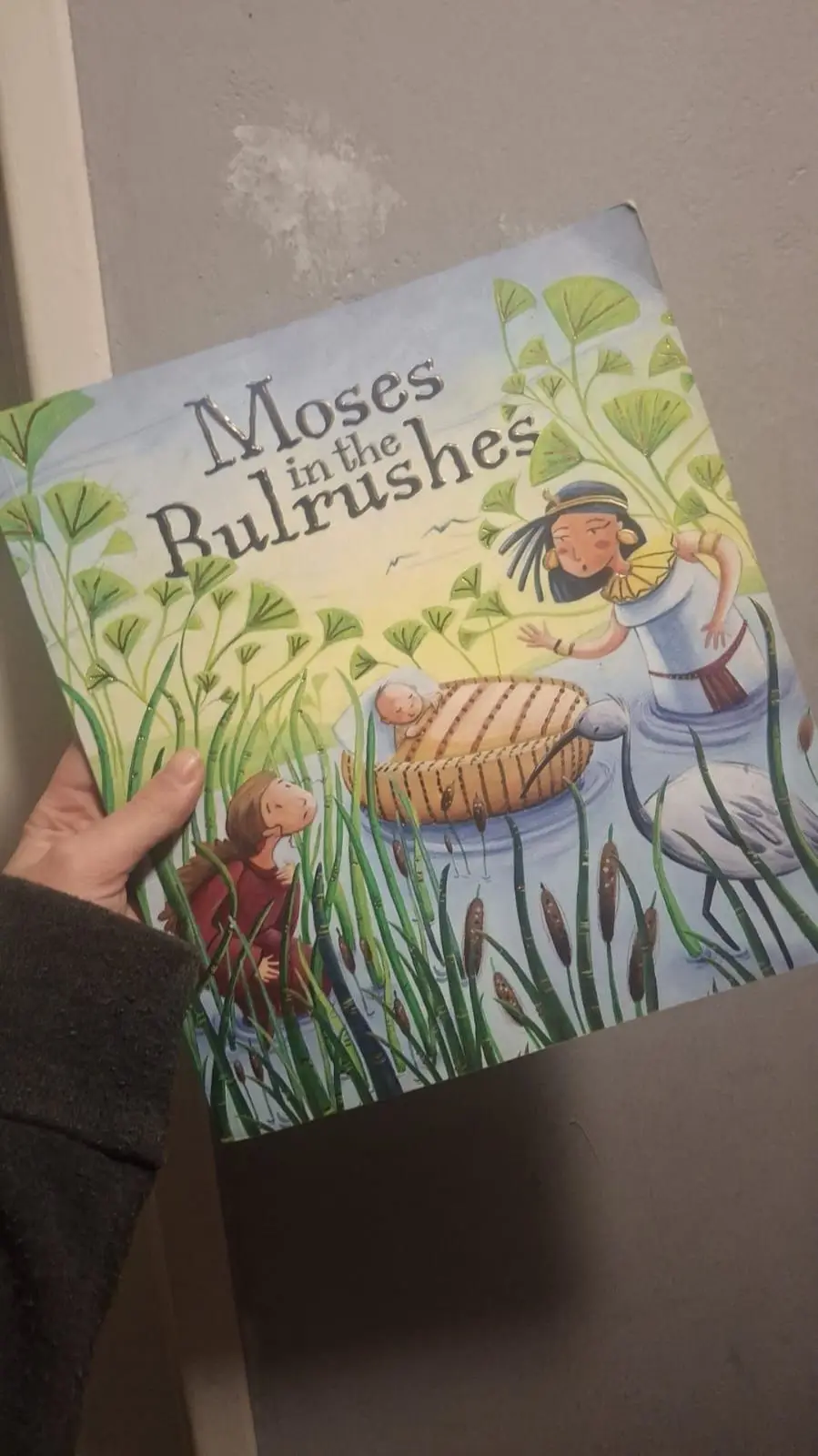 Moses in the Bulrushes Childrens Book