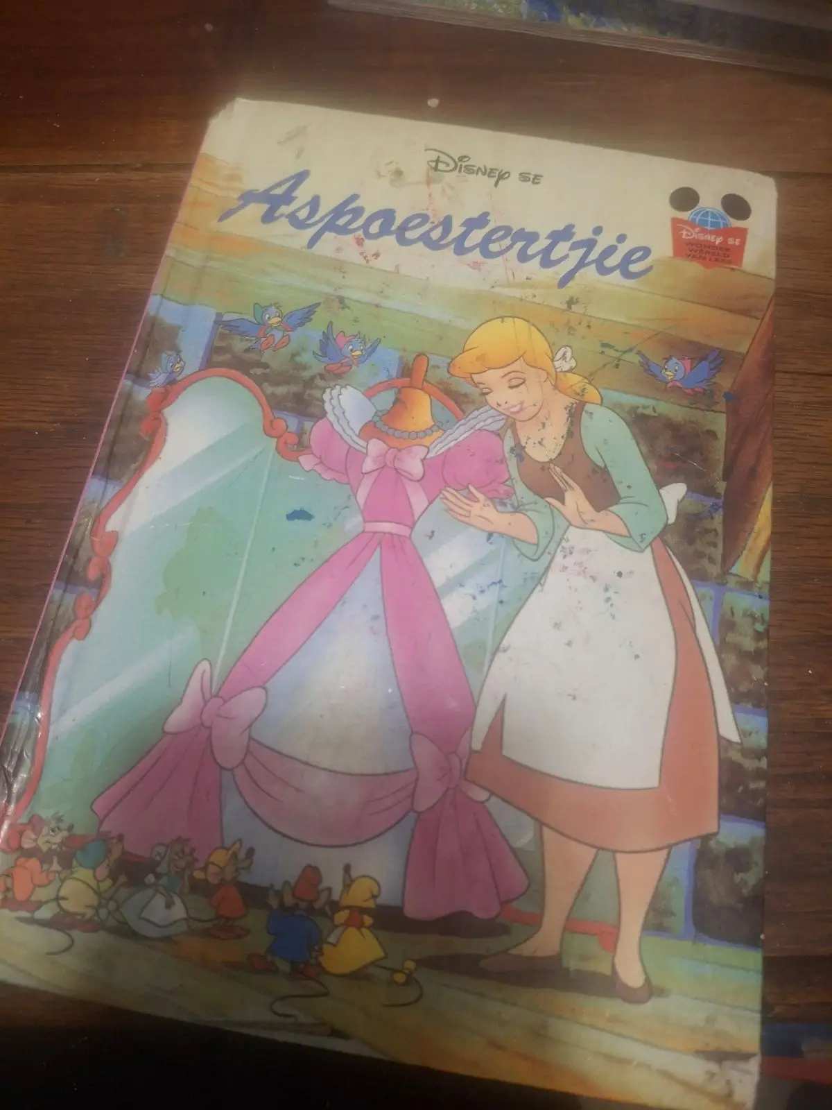 Disney se Aspoestertjie Afrikaans Childrens Book