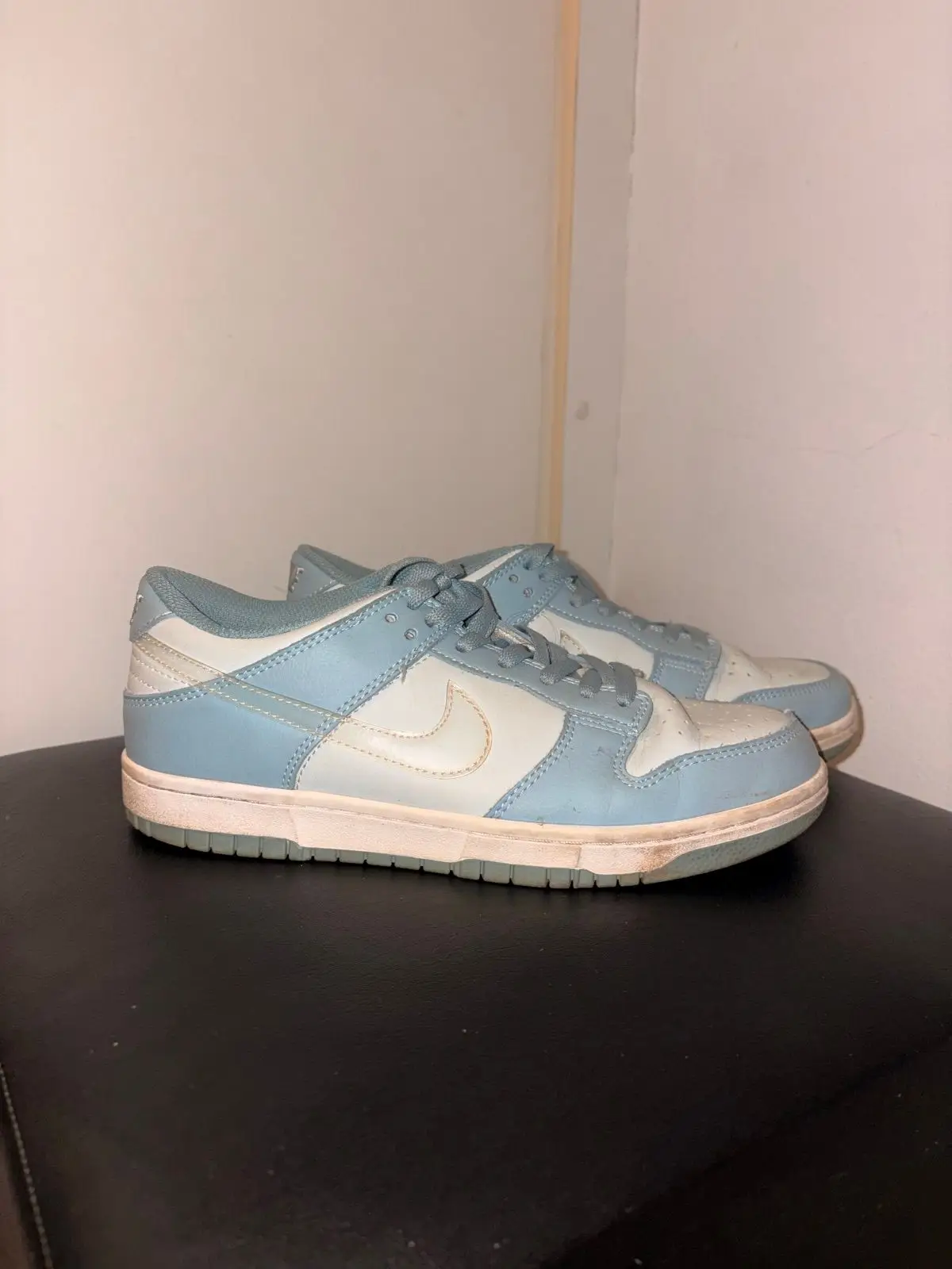 Nike Dunk Low Light Blue and White