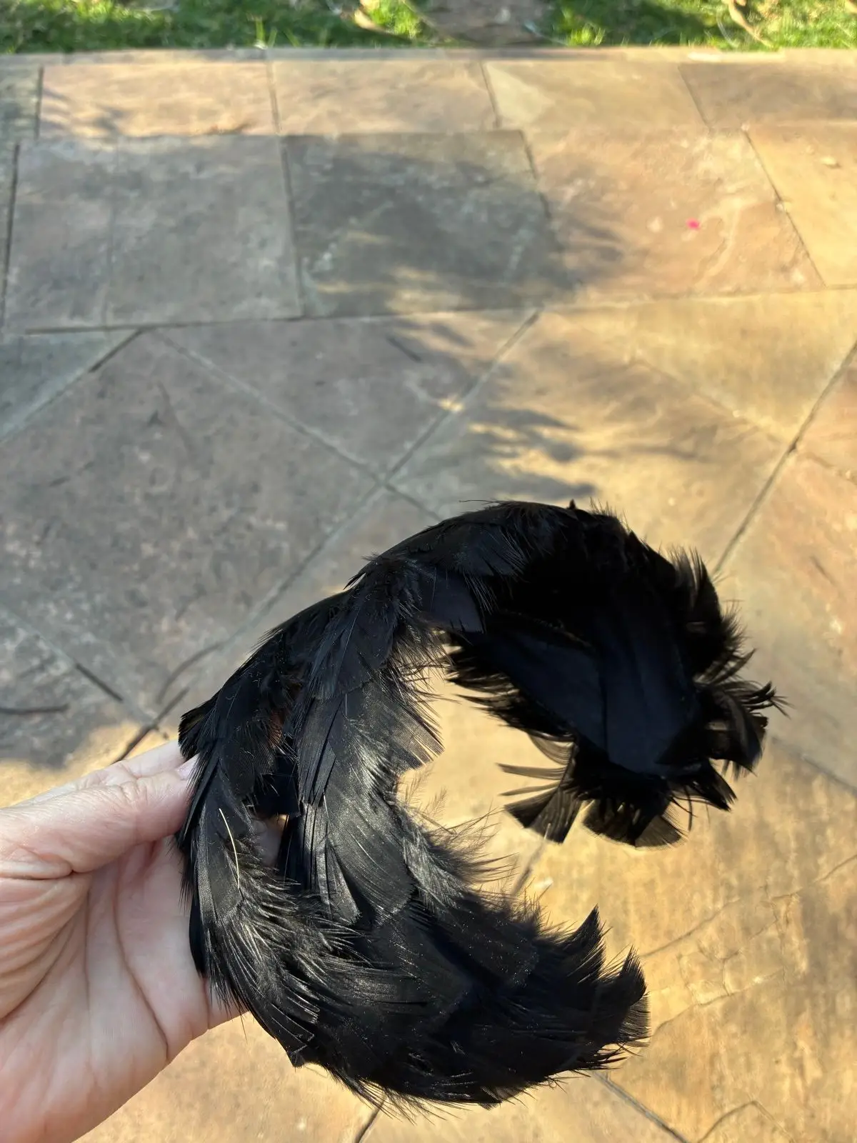 Black Feather Headband