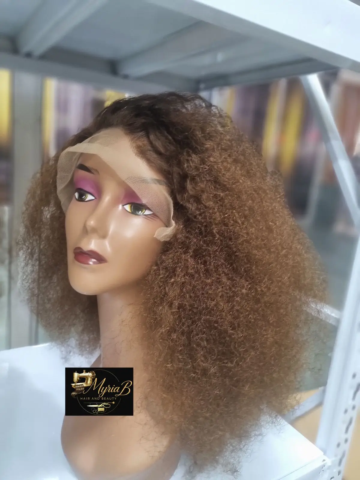 Brown Curly Lace Front Wig