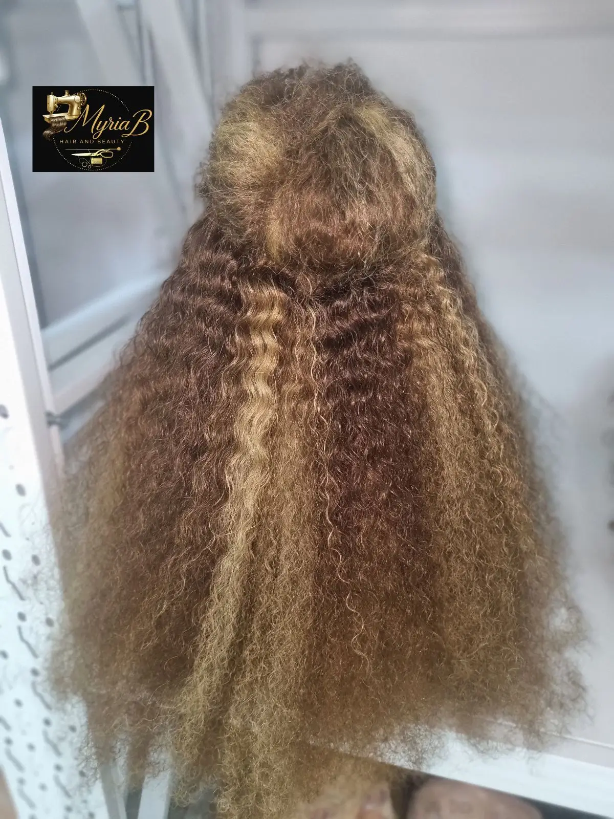 Brown Curly Lace Front Wig