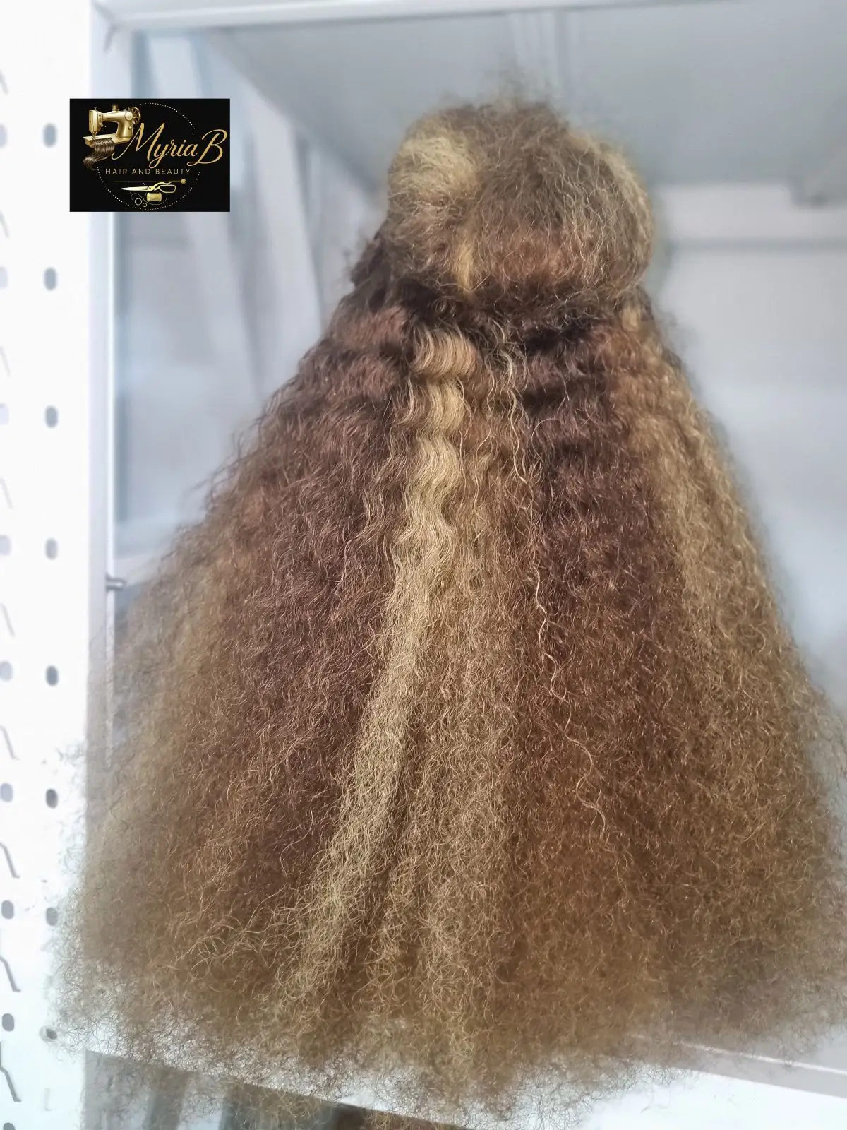 Brown Curly Lace Front Wig