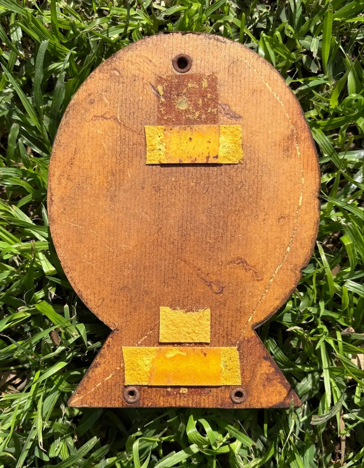 Hand Carved Wooden Plaque SFW Ship and Grapes