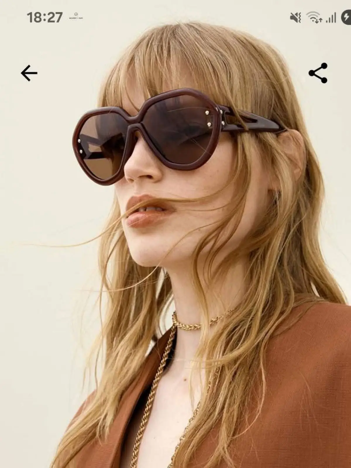 H&M Oversized Brown Sunglasses