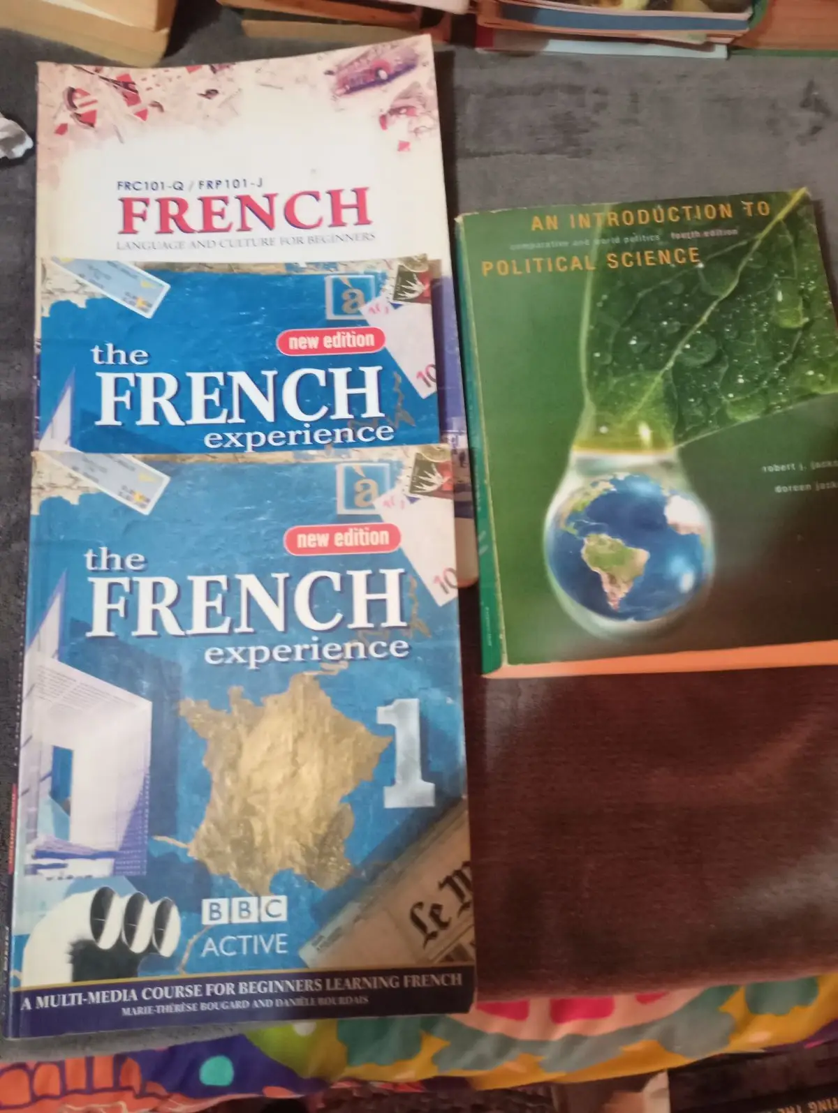 French Language and Culture for Beginners Textbook