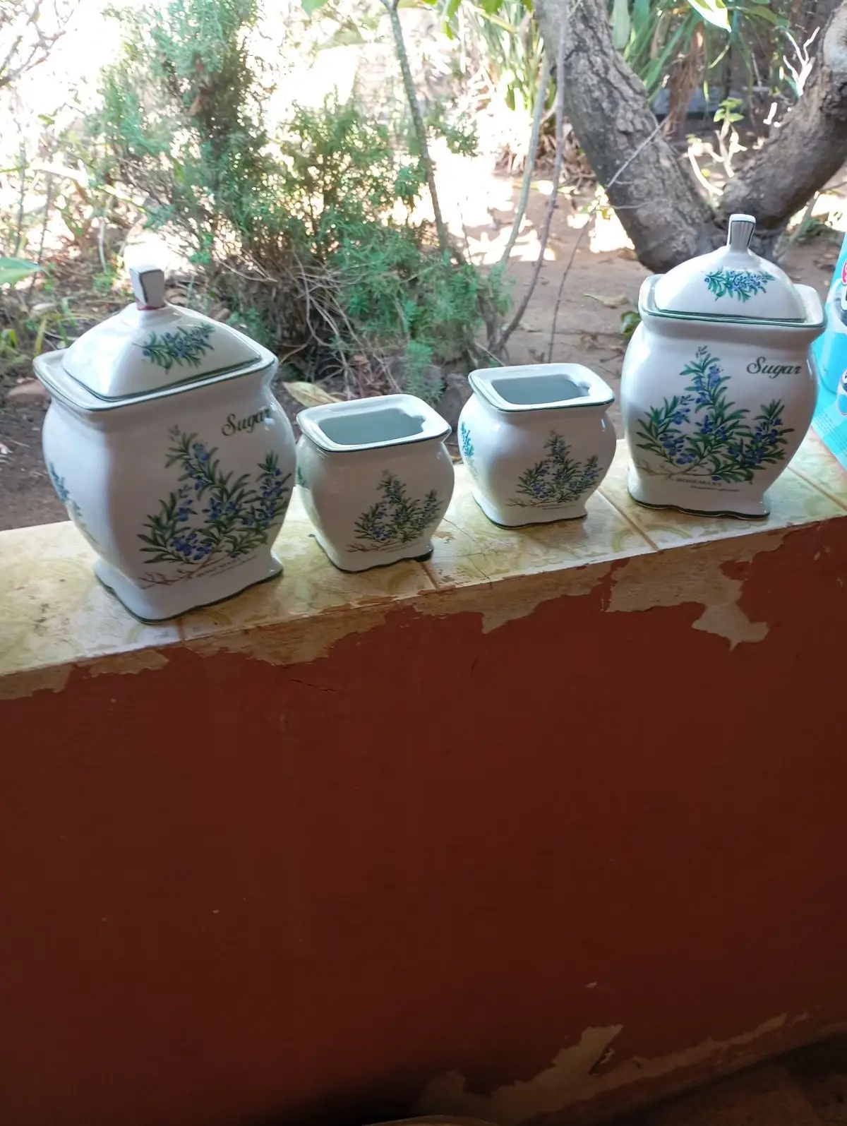 Ceramic Kitchen Canister with Lid and Botanical Print