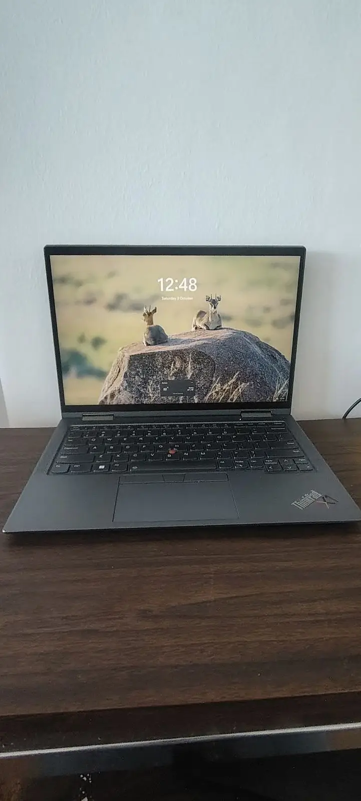 Lenovo ThinkPad Laptop