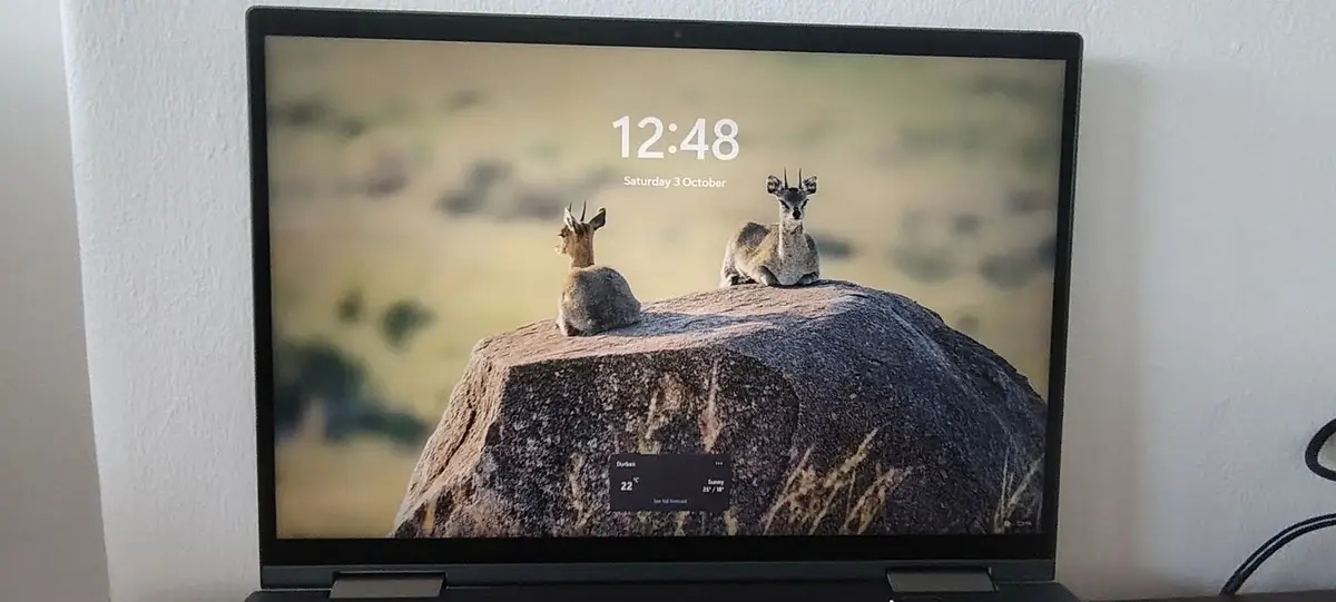 Lenovo ThinkPad Laptop