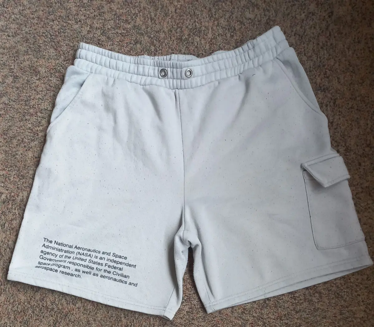 NASA Print Fleece Cargo Shorts Grey