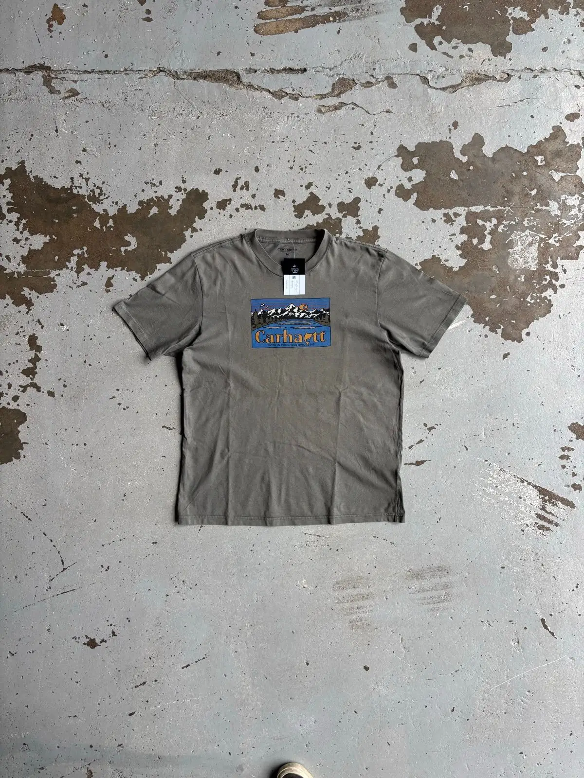 Carhartt Graphic Print T-Shirt Grey Medium