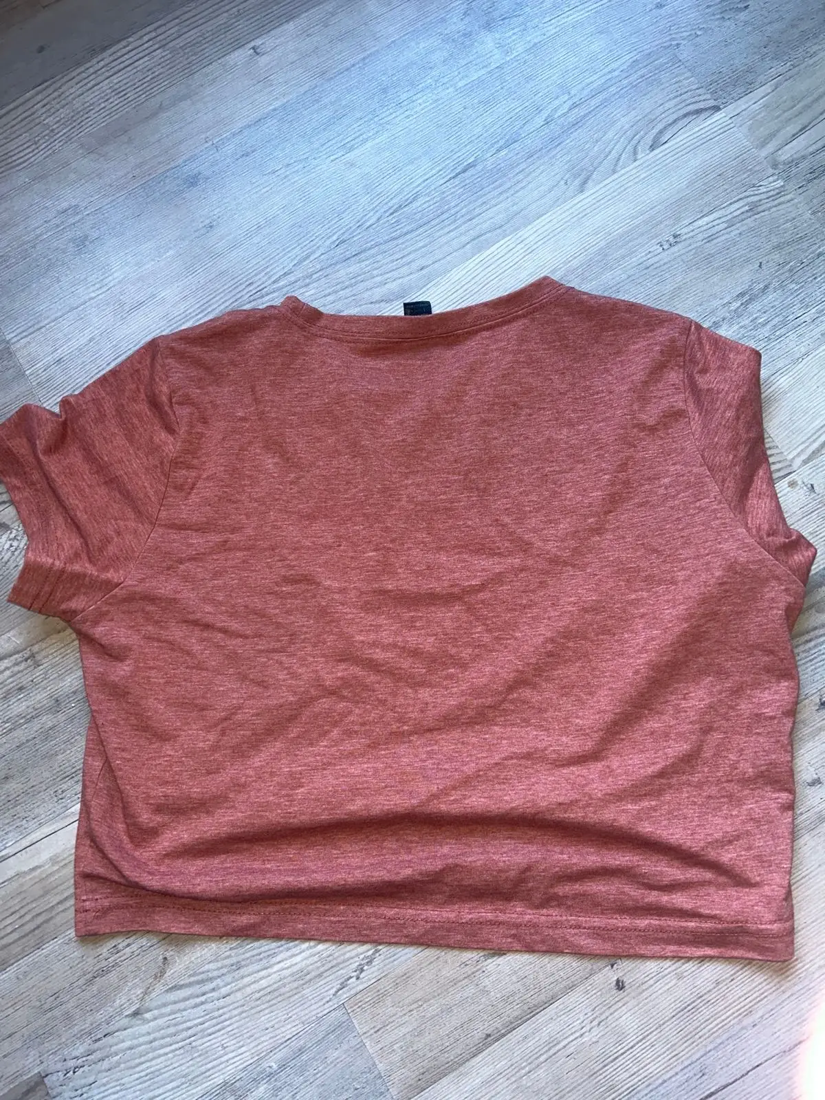 Shein Terracotta Crop Top