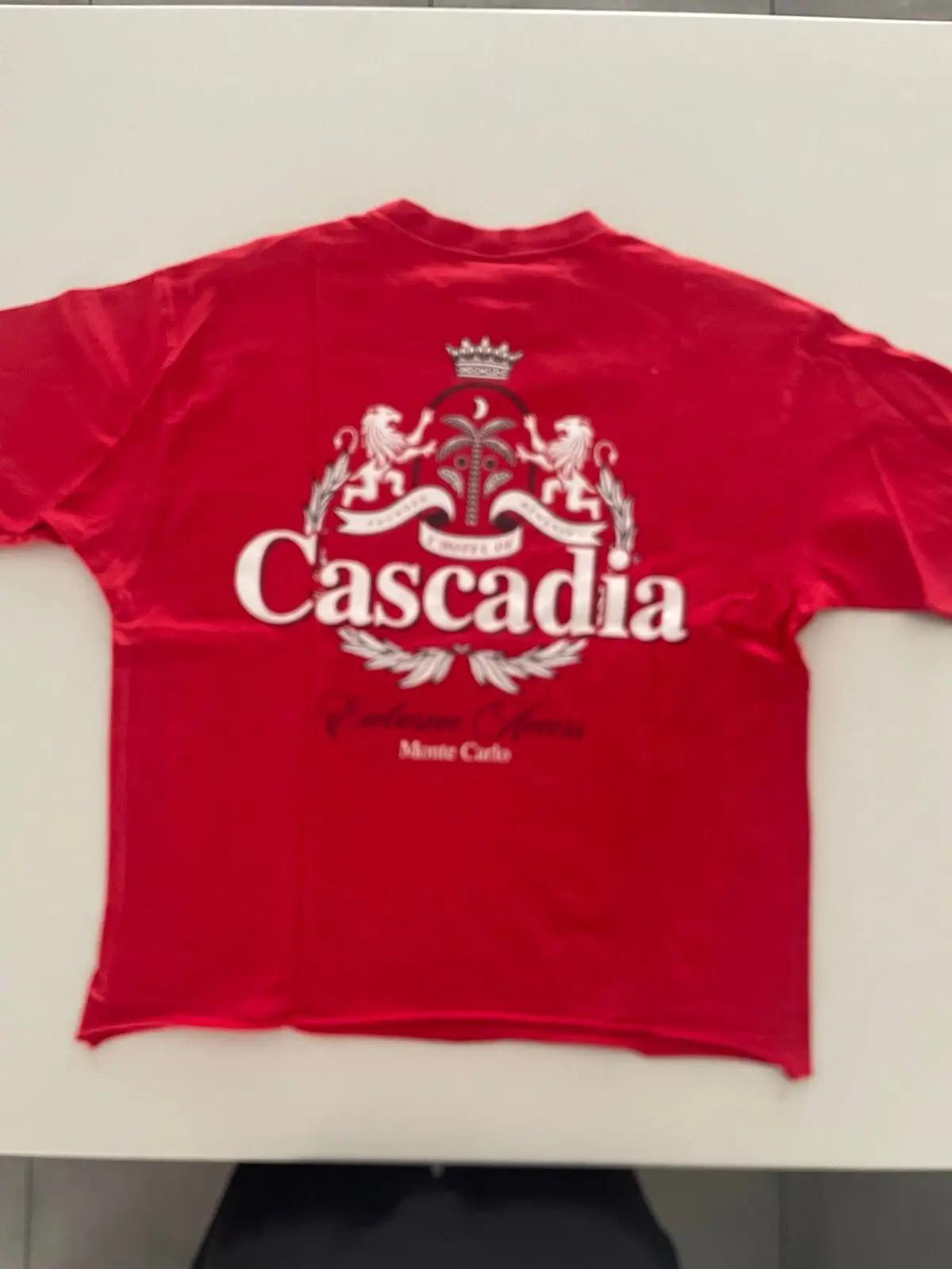 Cotton On Cascadia Graphic T-Shirt Red Small