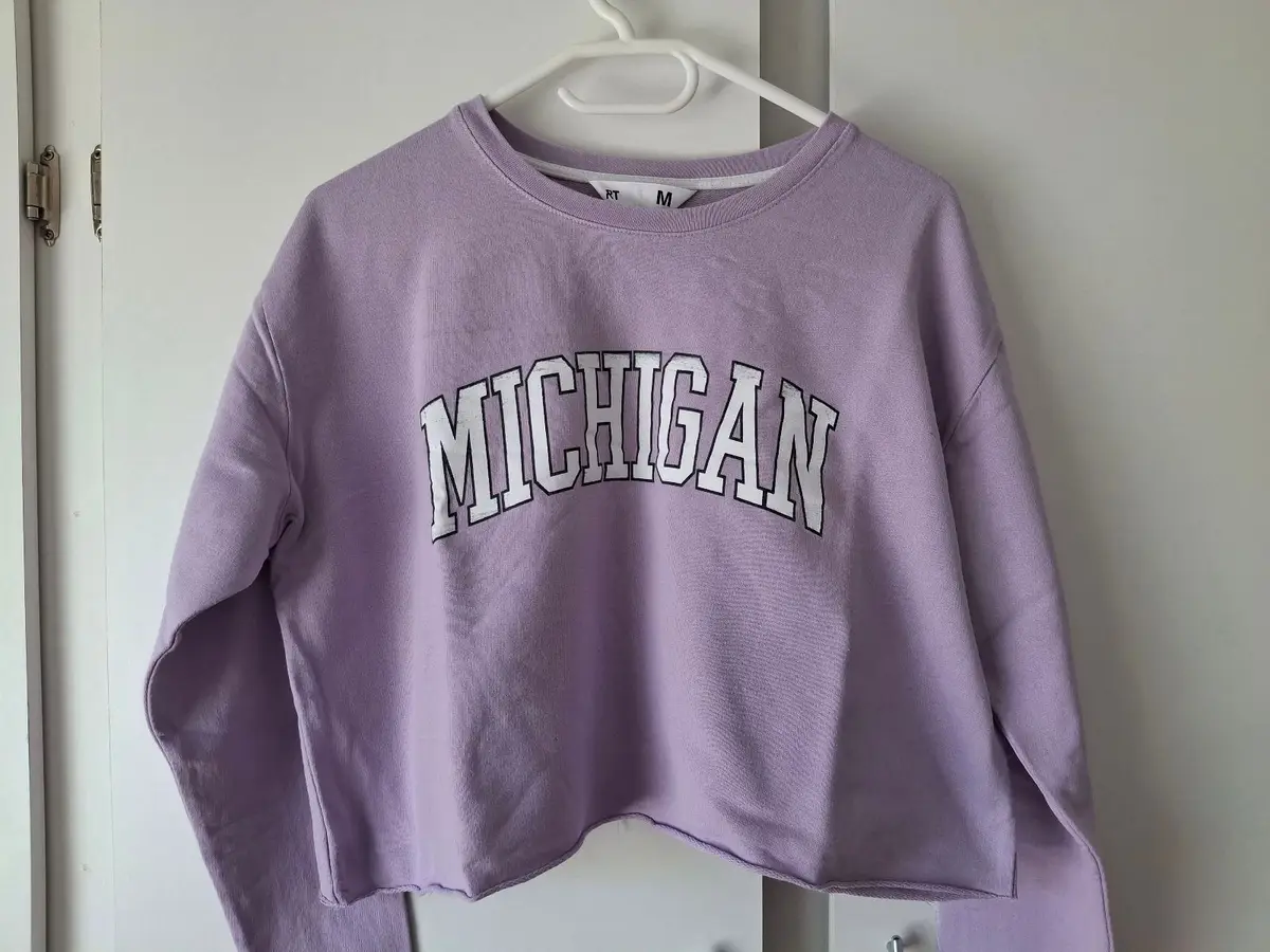 Mr Price Michigan Cropped Sweatshirt Lilac