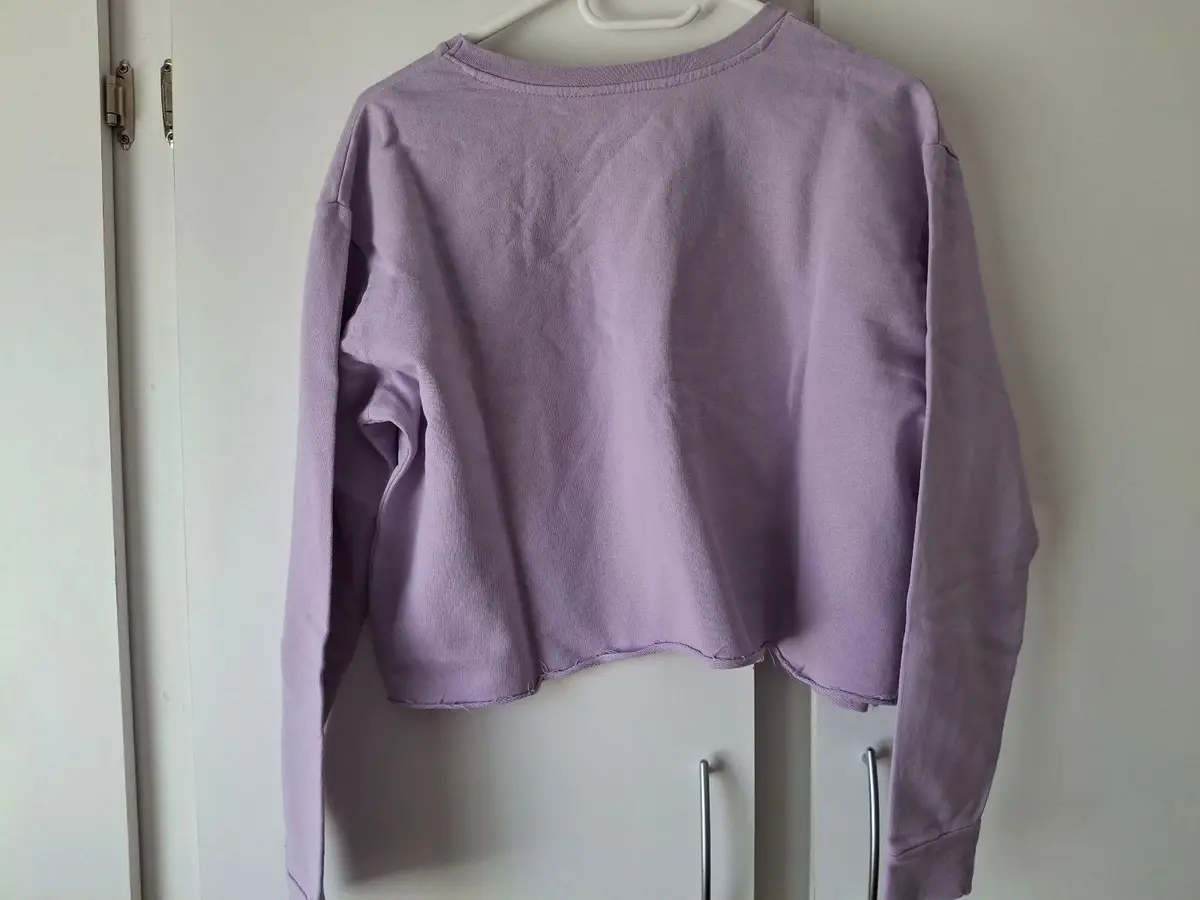 Mr Price Michigan Cropped Sweatshirt Lilac