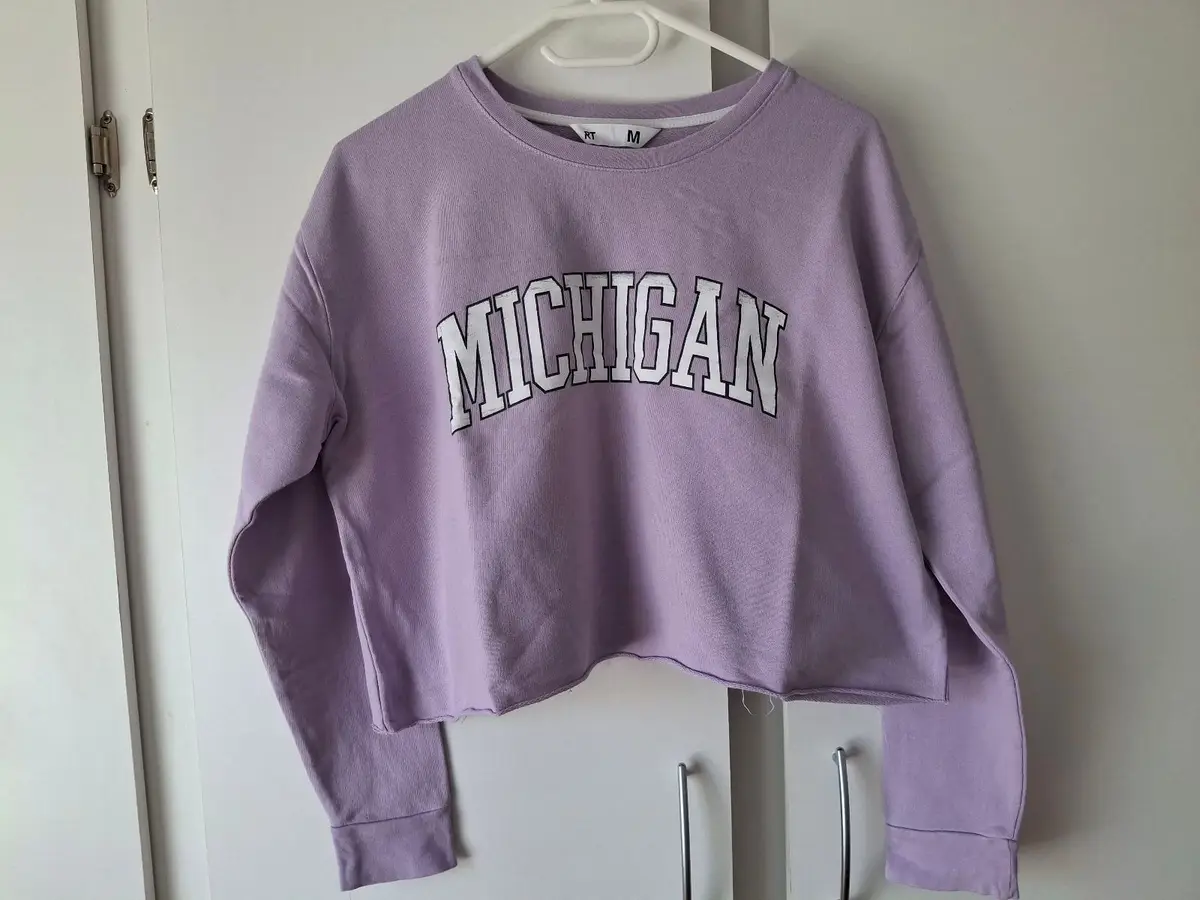 Mr Price Michigan Cropped Sweatshirt Lilac