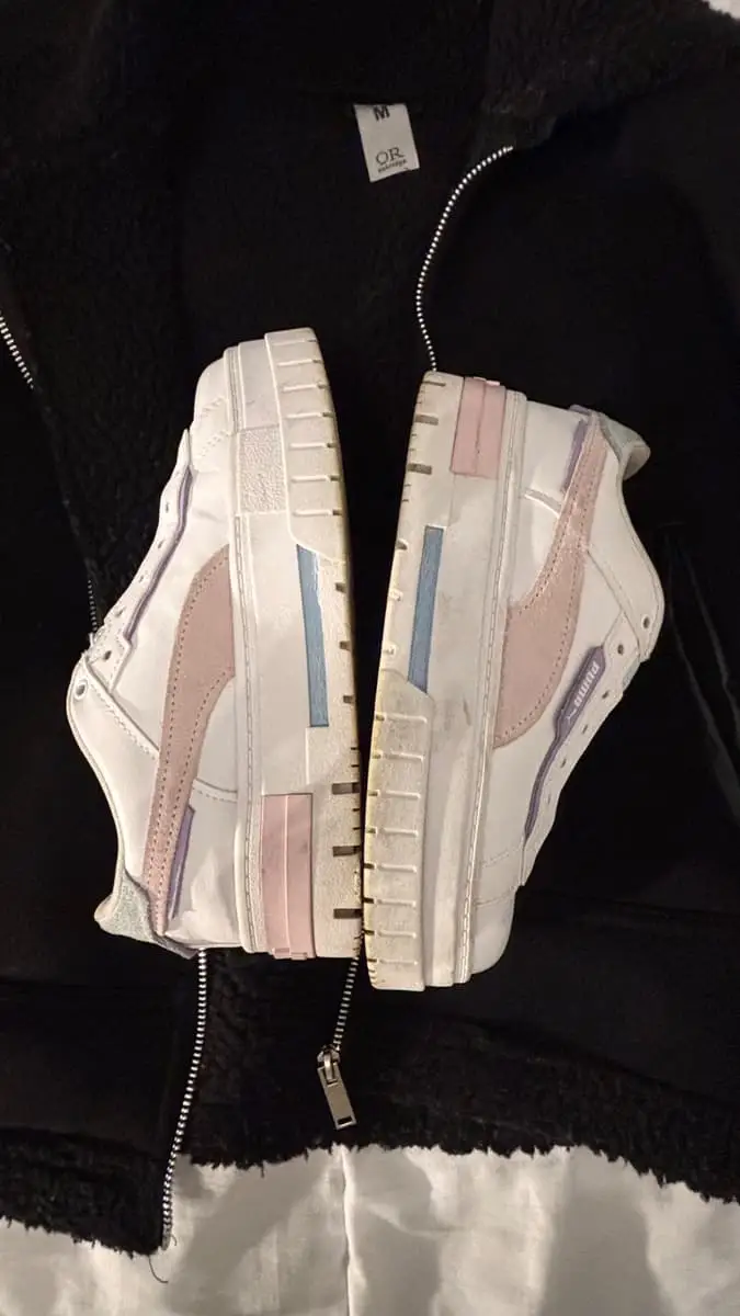 Pumas