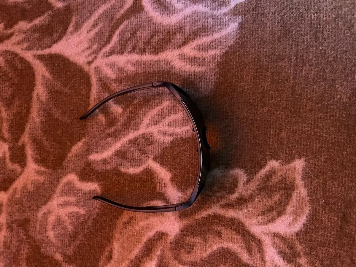 Black Shield Sunglasses