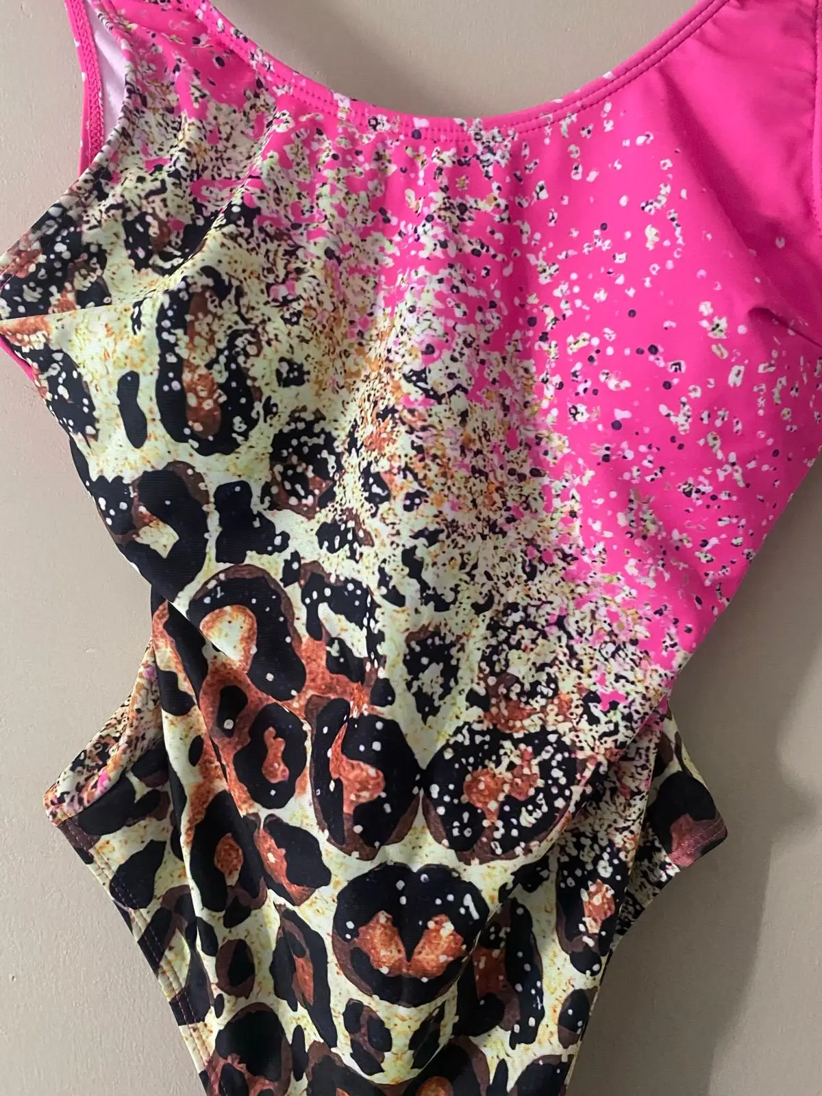Pink Ombré & Leopard Print One-Piece Swimsuit
