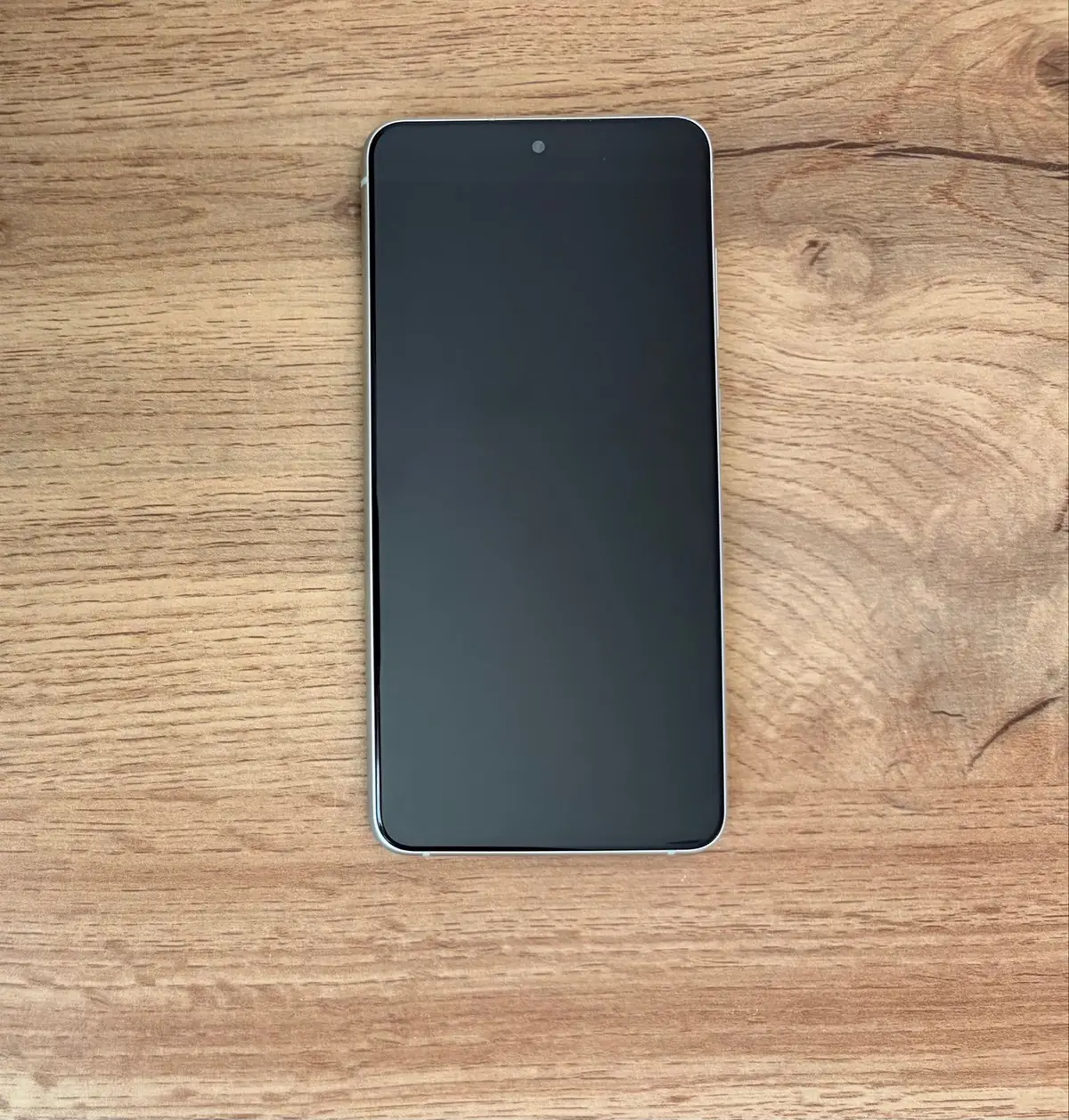 Samsung Galaxy S21 FE 5G Olive Green with Box