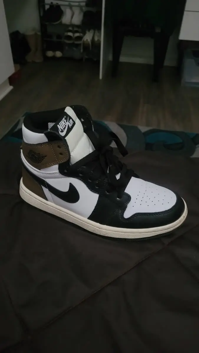 Nike / Jordan Air Jordan 1 Retro High "Dark Mocha"