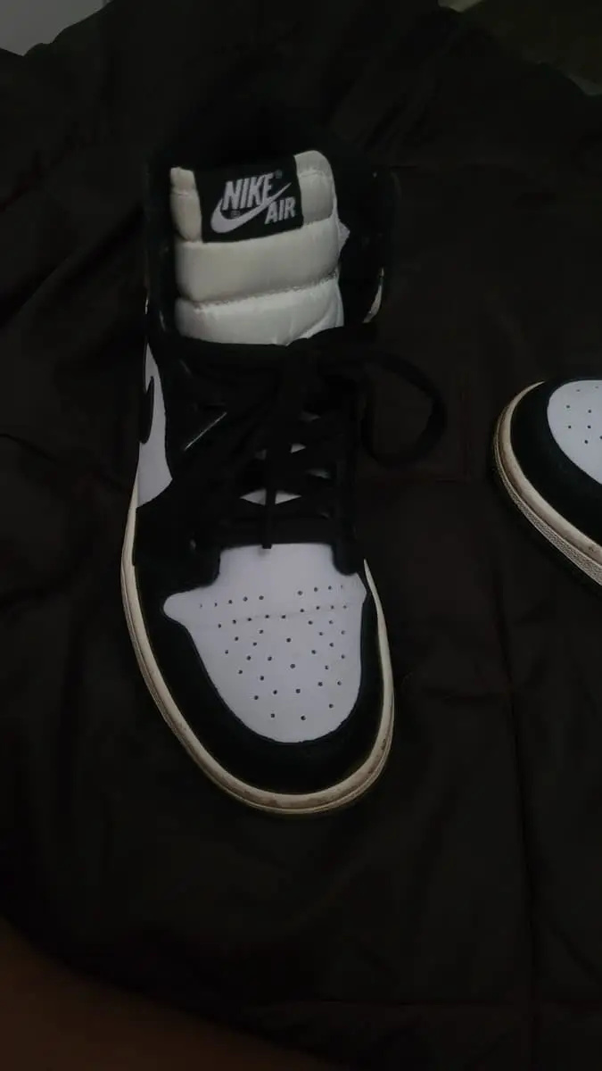 Air Jordan 1 Retro High "Dark Mocha"
