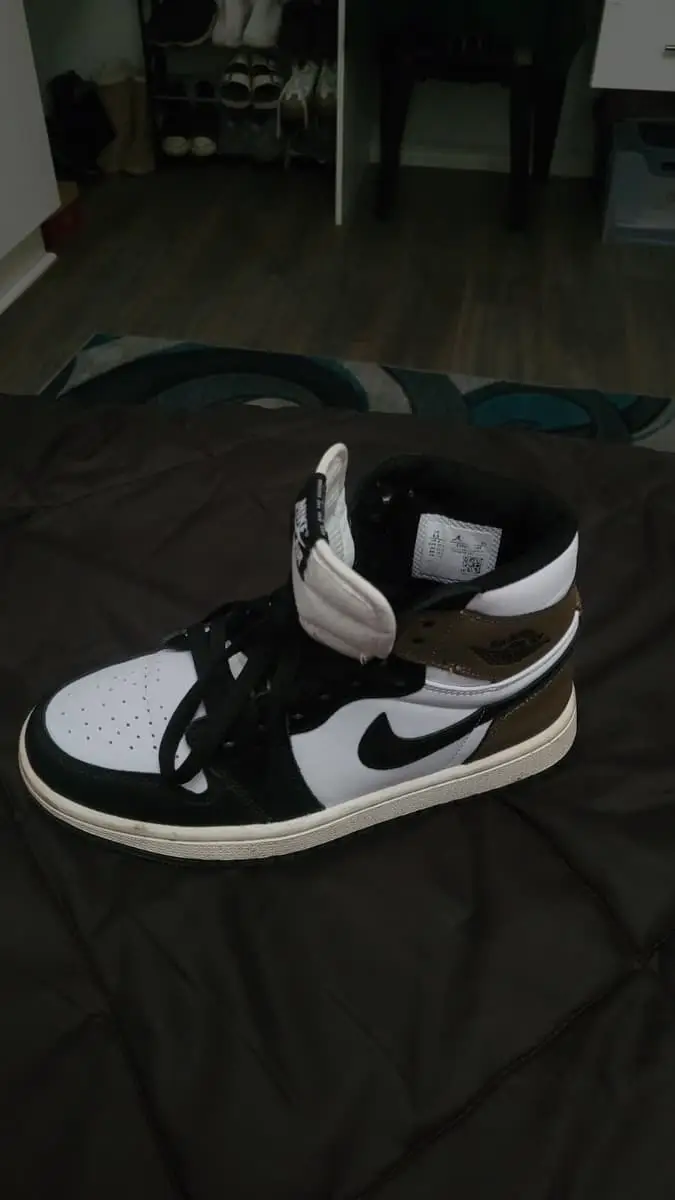 Air Jordan 1 Retro High "Dark Mocha"