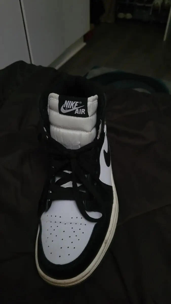Air Jordan 1 Retro High "Dark Mocha"