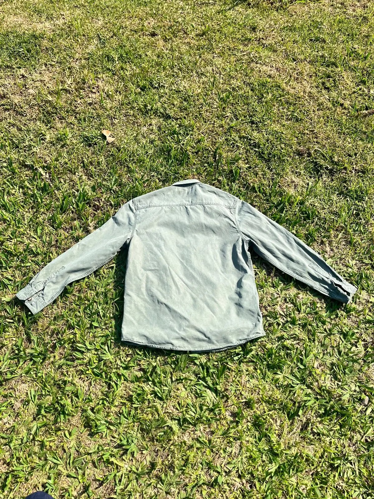 Woolworths Sage Green Long Sleeve Shirt