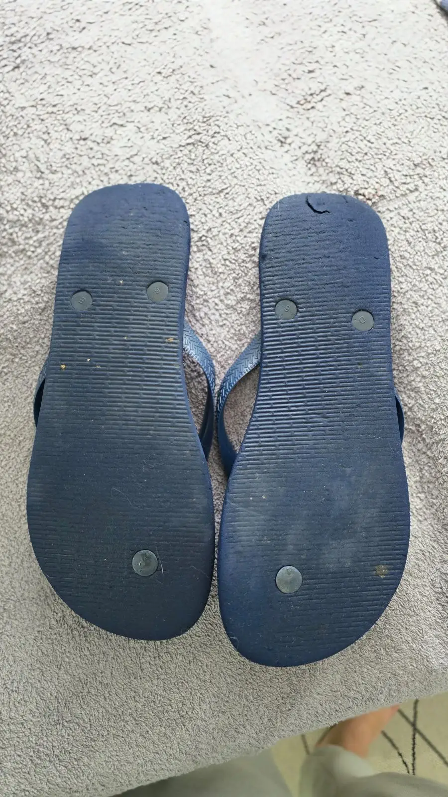 Havaianas Navy Blue Flip Flops