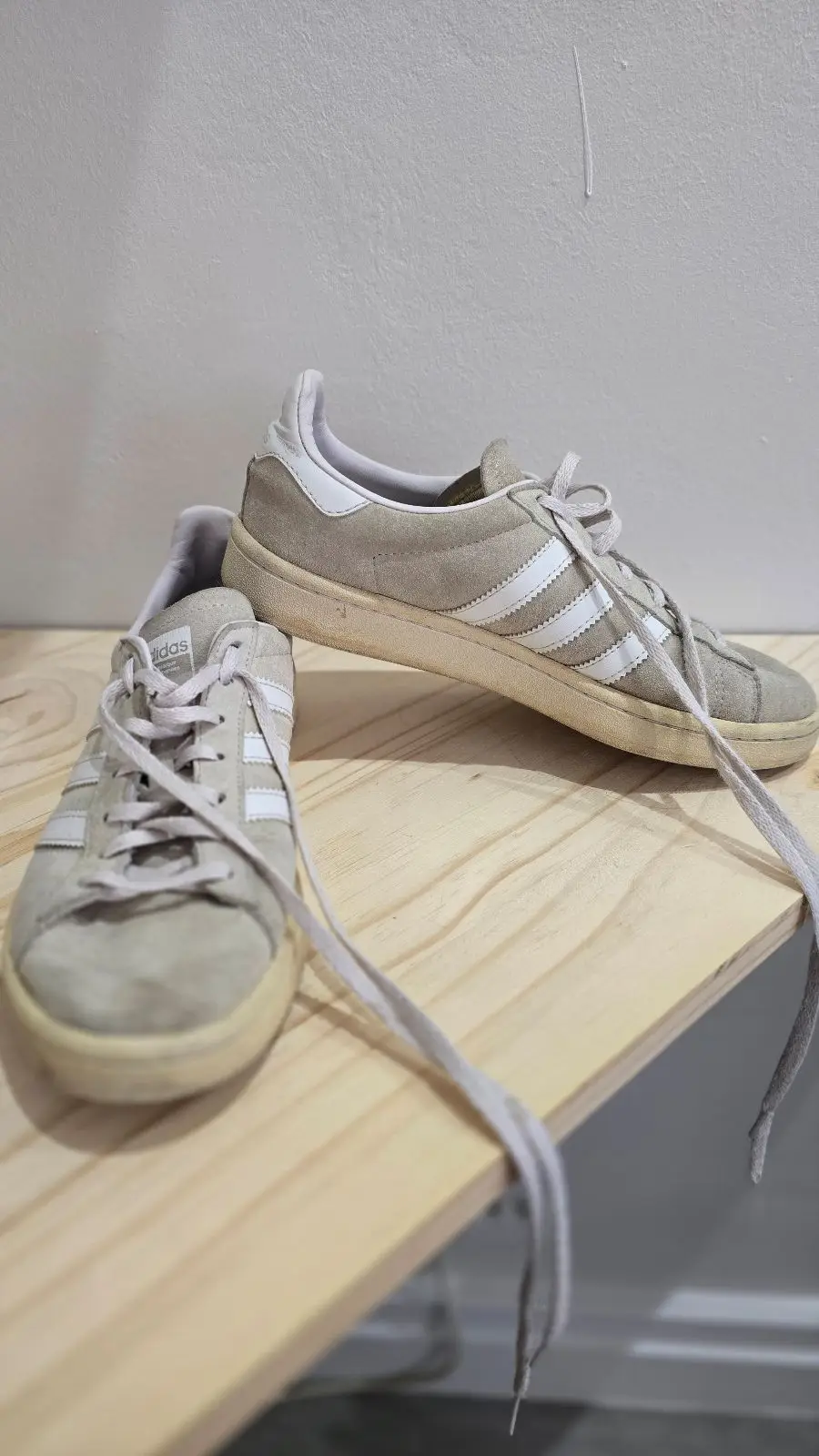 Adidas Suede Sneakers