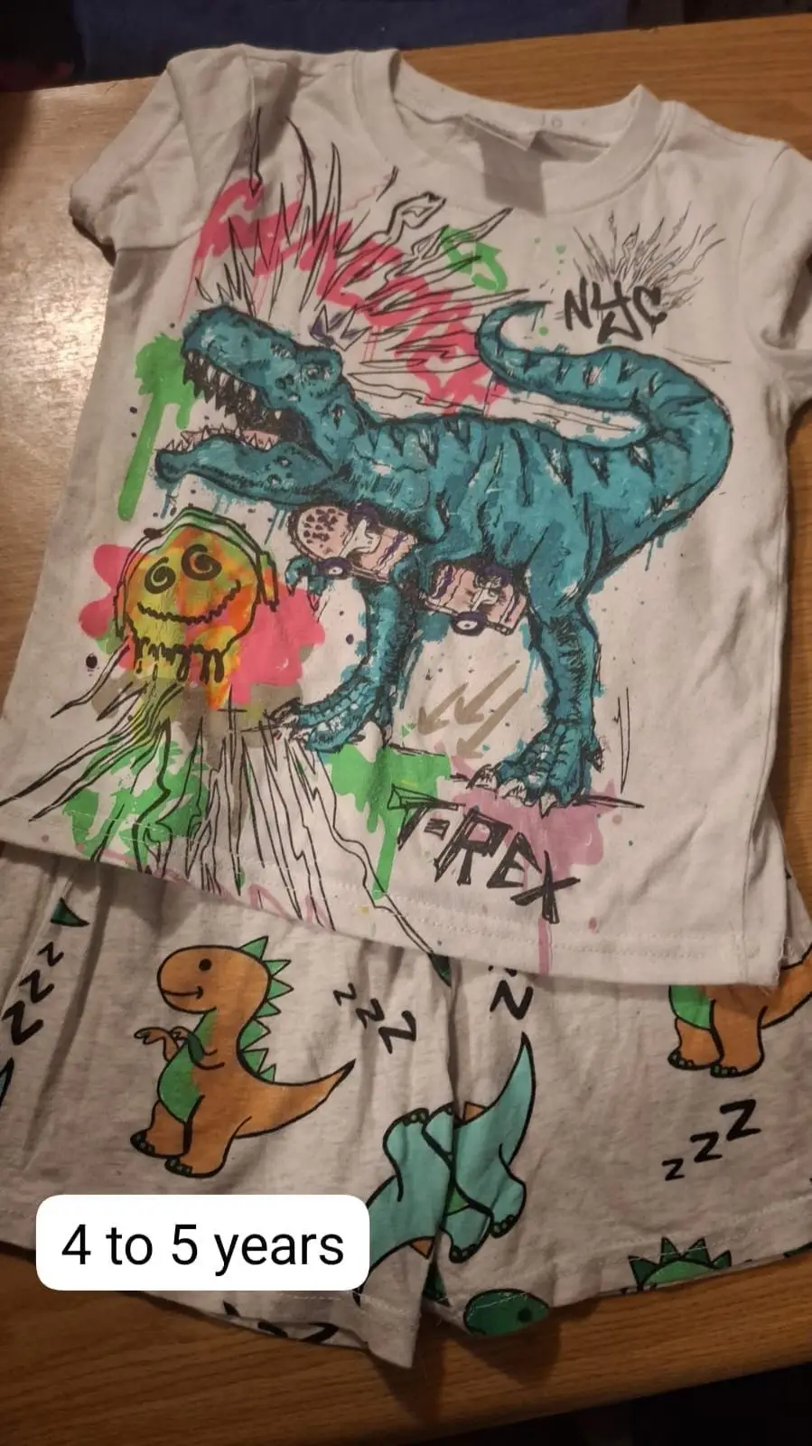 Boys Dinosaur T-Shirt and Shorts Set 4-5 Years