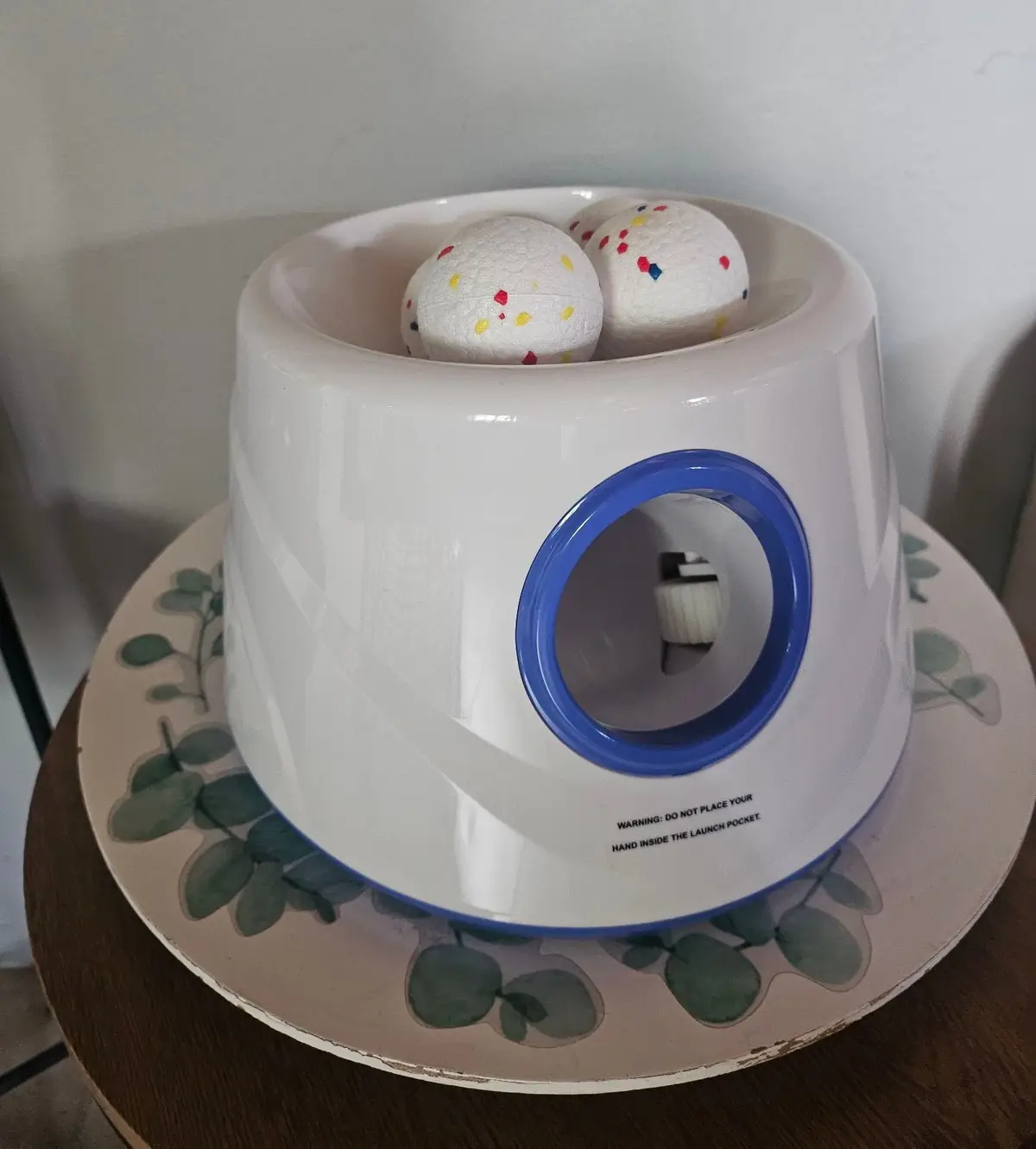 BezosMax Automatic Pet Ball Launcher with Five Balls